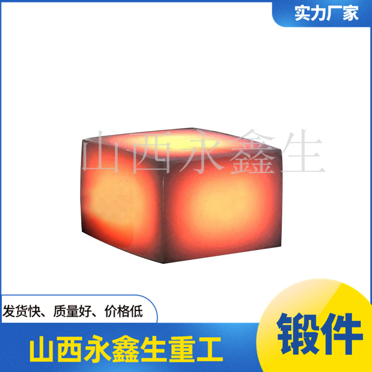 鍛造泵頭體鍛件